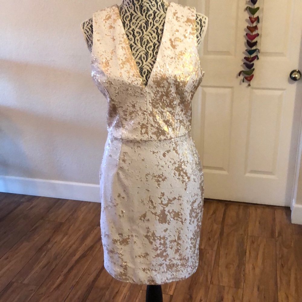 Dress the Population sequin dress M